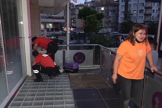 Balkondan düşen kedisi için dakikalarca göz yaşı döktü